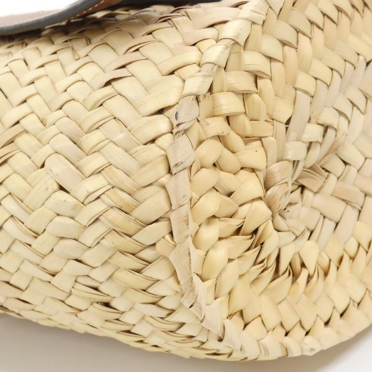 Loewe Raffia Calfskin Bag