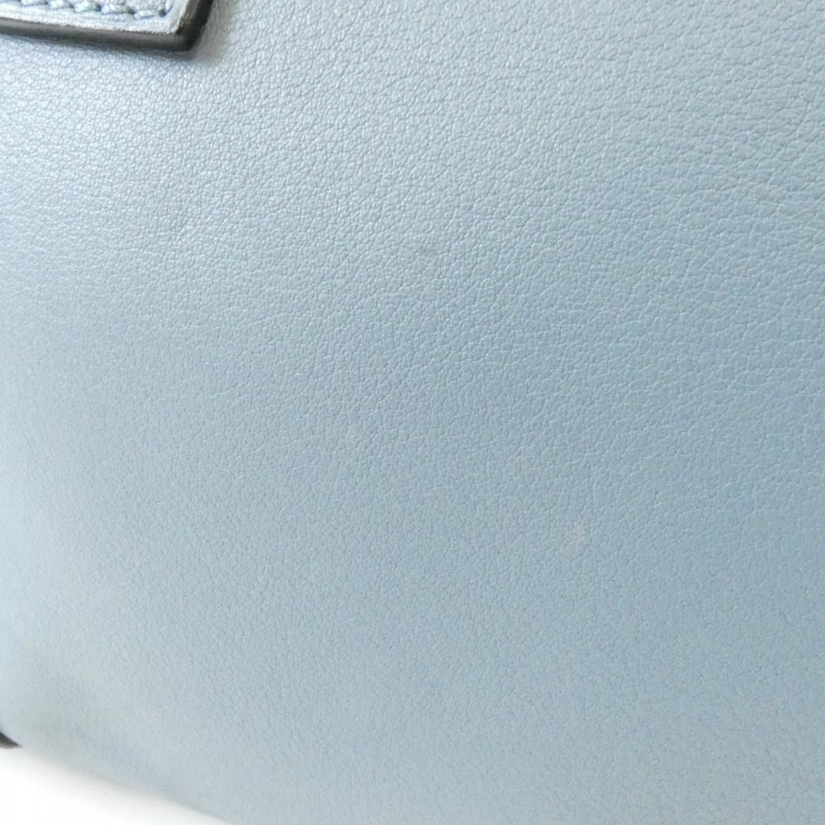 Loewe Amazona Calf Leather Handbag