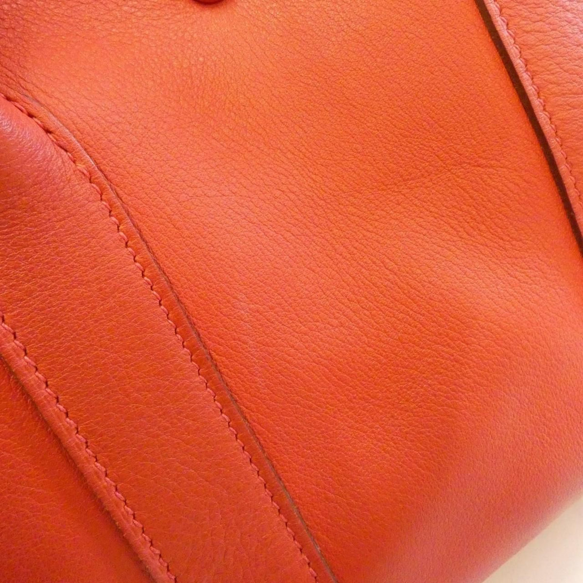 Hermes Garden Twilly Swift Silk Bag