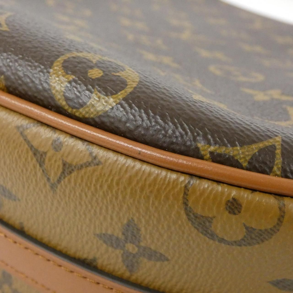Louis Vuitton Monogram Reverse Loop Hobo shoulder bag