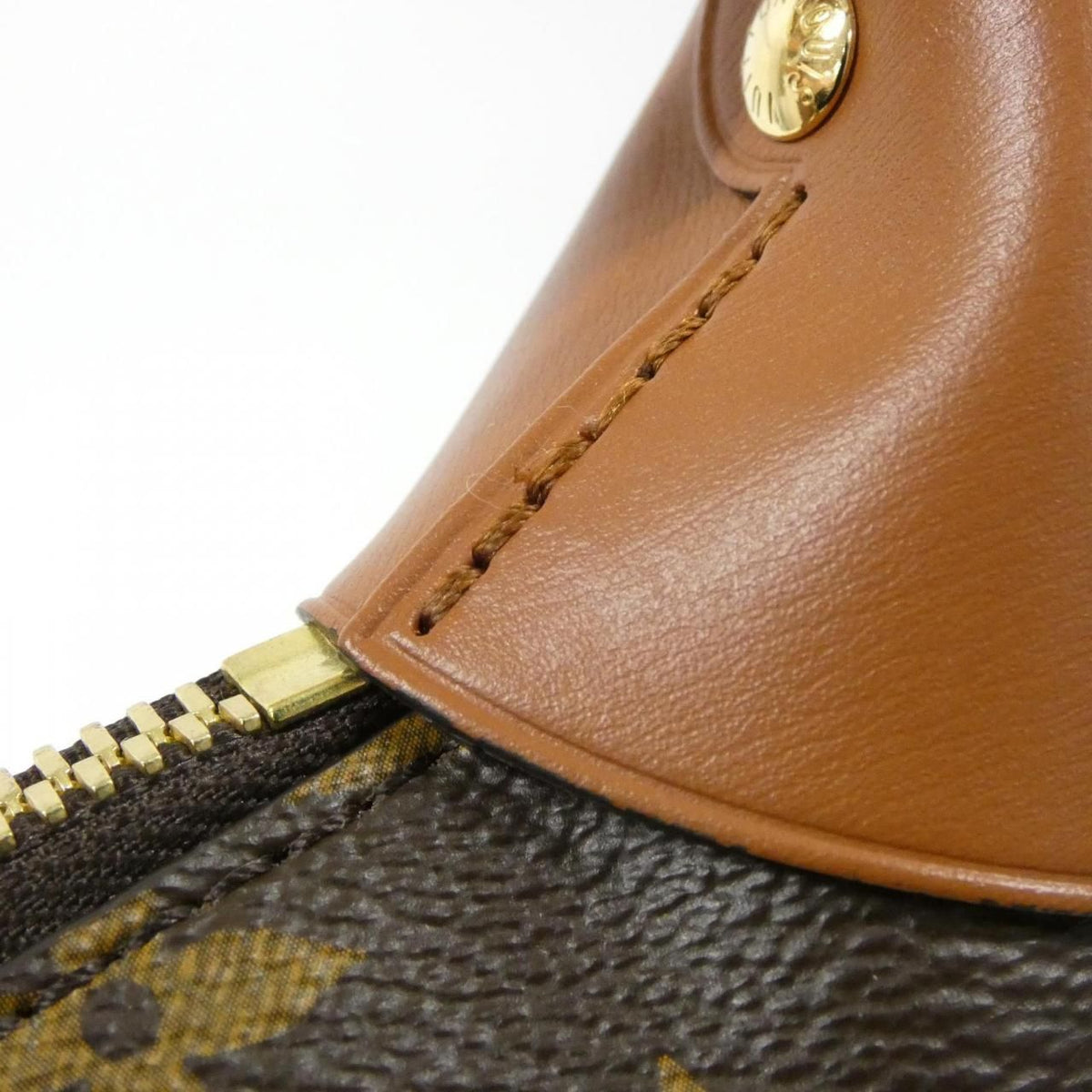 Louis Vuitton Monogram Reverse Loop Hobo shoulder bag