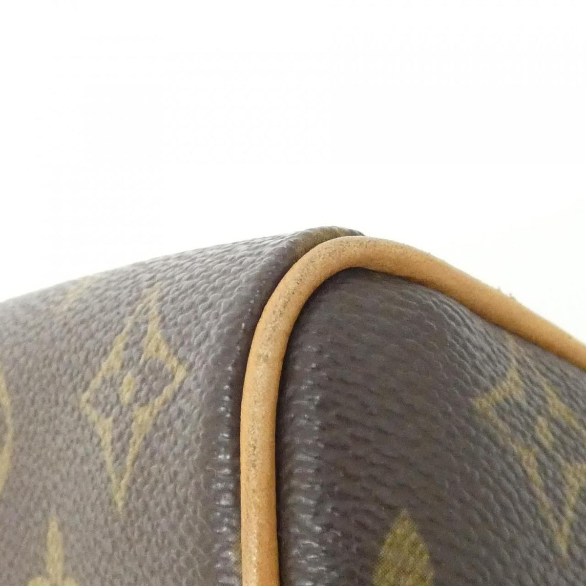 Louis Vuitton Monogram Bag