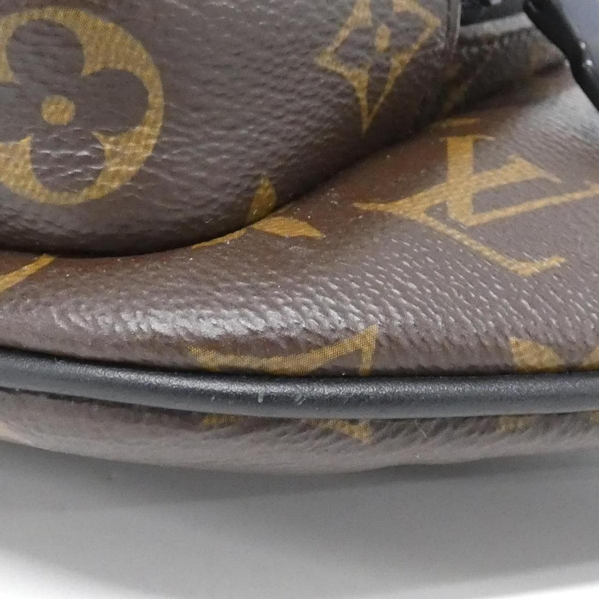 Louis Vuitton Christopher Monogram Macassar bumbag