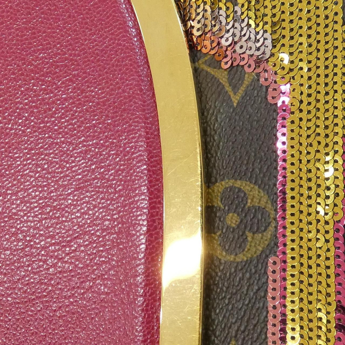 Louis Vuitton Monogram Sauvage Tiger Clutch Bag