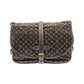 Louis Vuitton Monogram Mini Lin Shoulder Bag