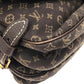 Louis Vuitton Monogram Mini Lin Shoulder Bag