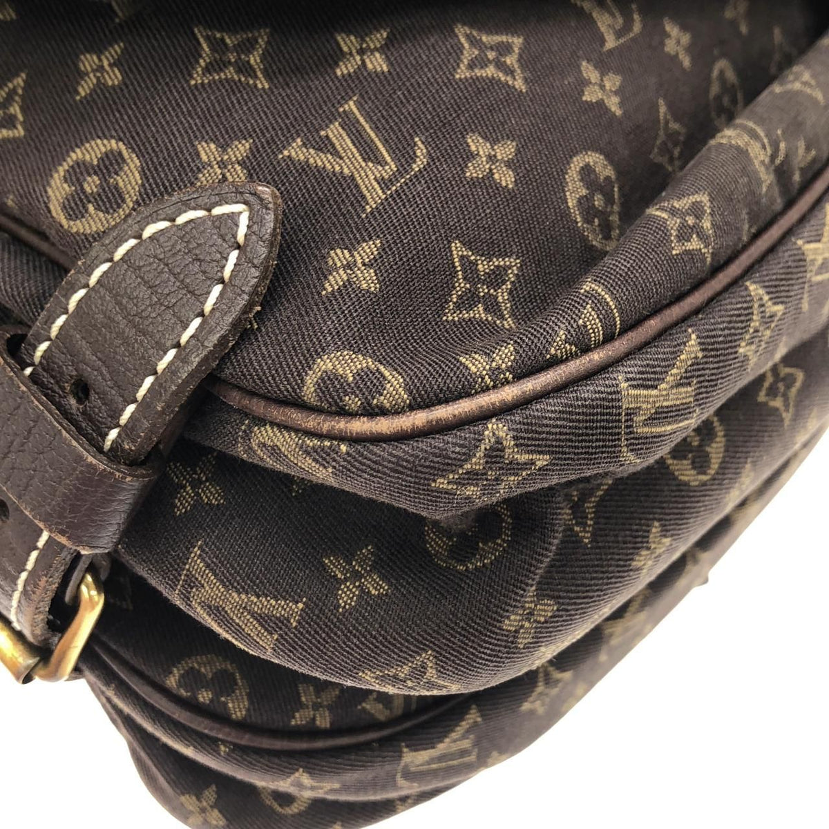 Louis Vuitton Monogram Mini Lin Shoulder Bag