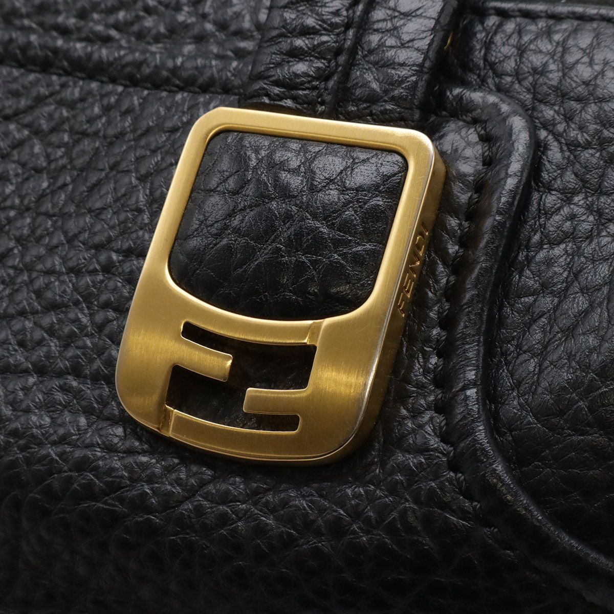 Fendi Cameleon Leather Handbag