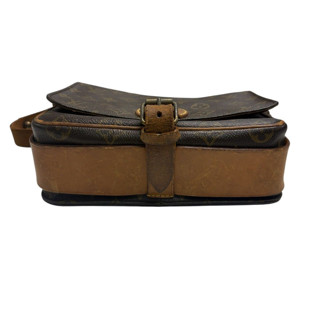 Louis Vuitton Monogram PVC Shoulder Bag