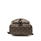 Louis Vuitton Palm Springs PM Monogram Backpack