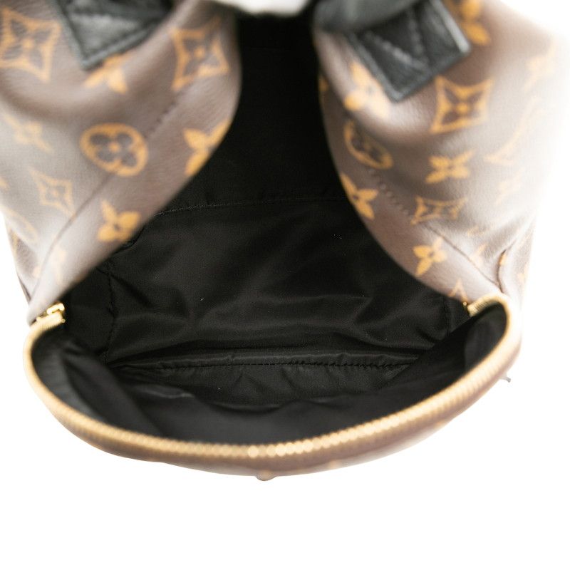 Louis Vuitton Palm Springs PM Monogram Backpack
