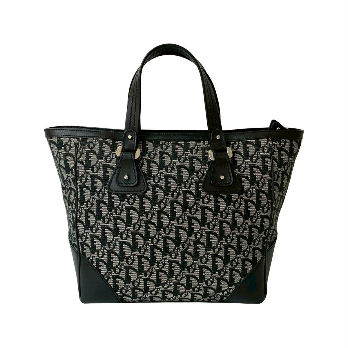 Christian Dior Trotter Canvas Leather Handbag
