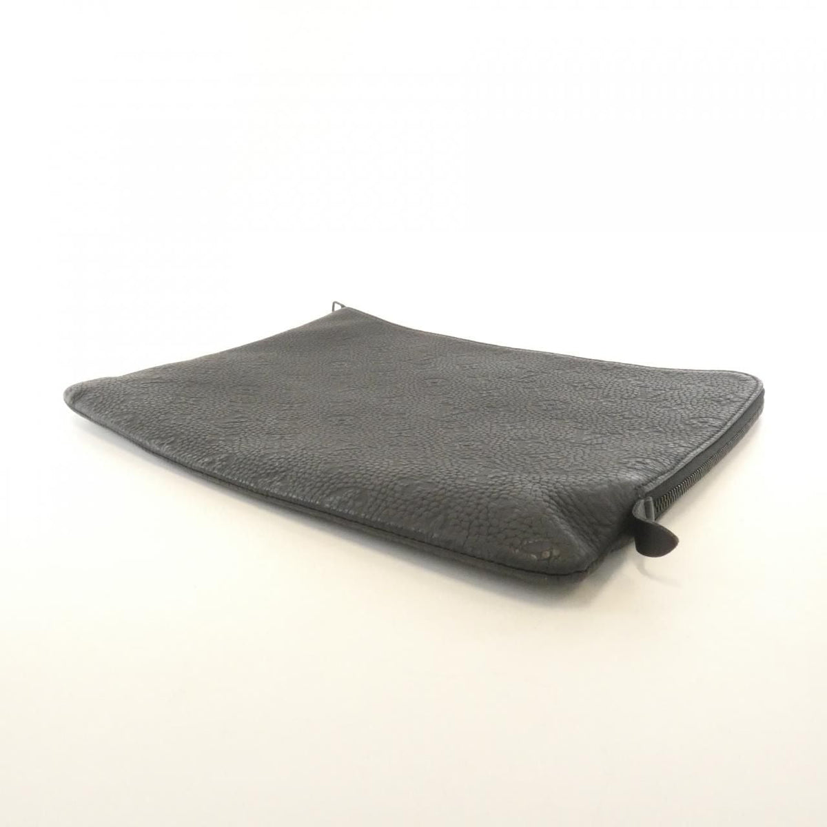 Louis Vuitton Monogram Taurillon Pouch