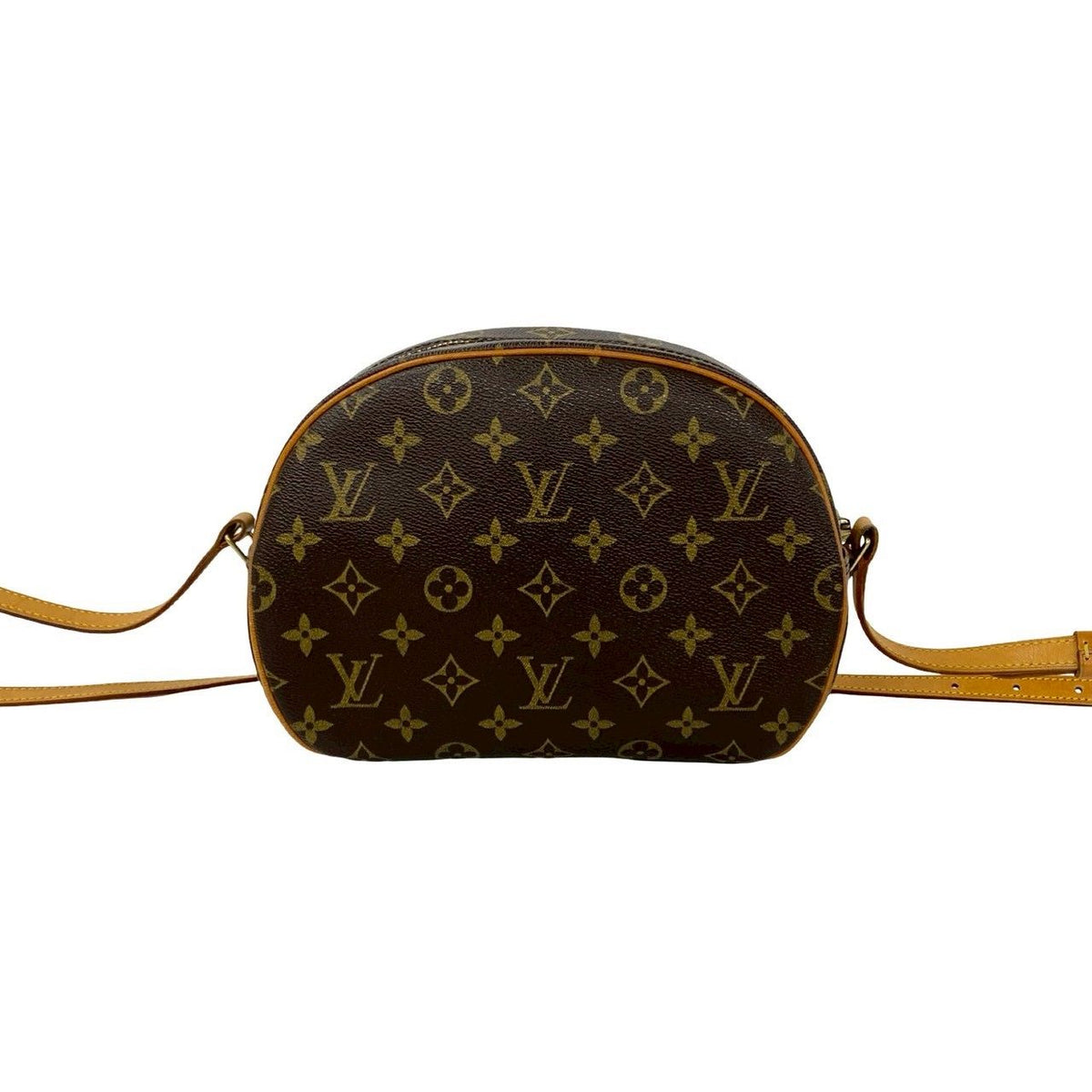 Louis Vuitton Blois Monogram Leather Shoulder Bag