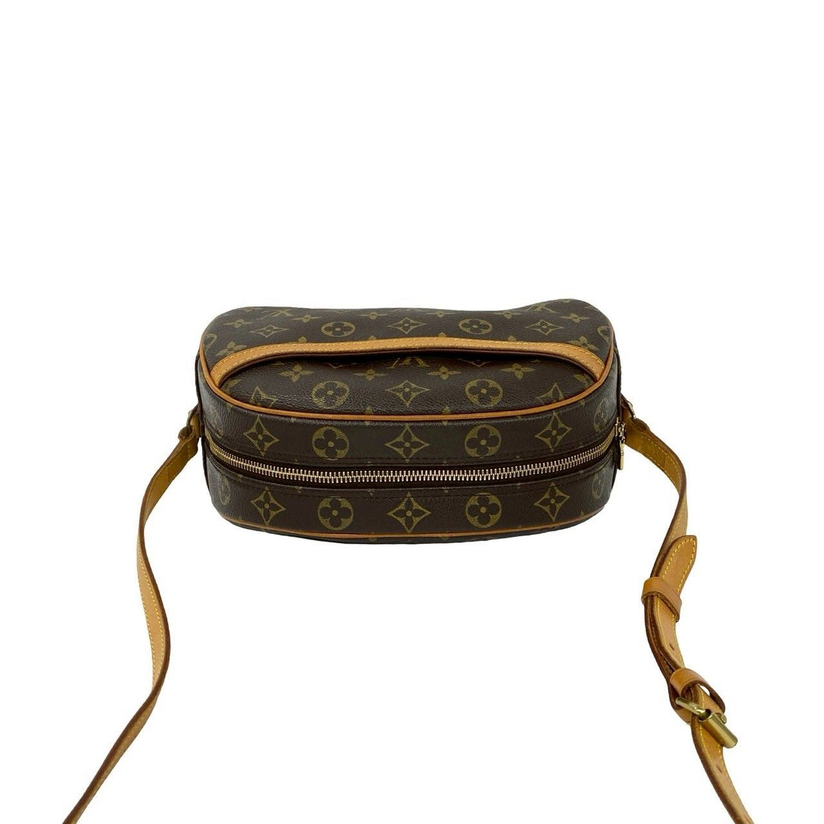 Louis Vuitton Blois Monogram Leather Shoulder Bag