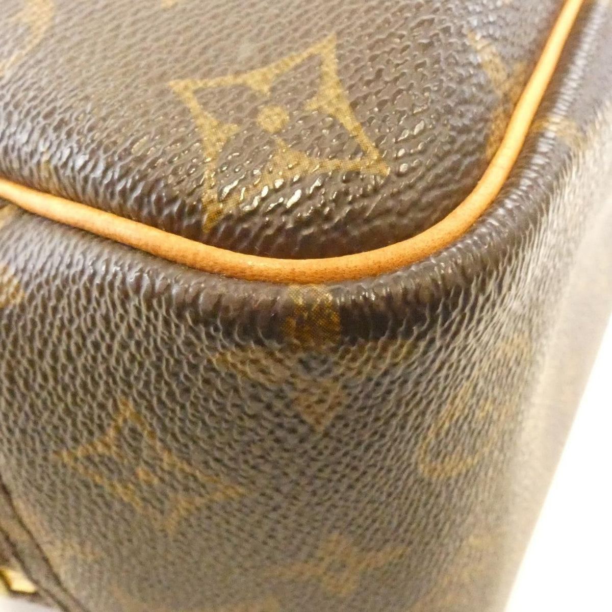Louis Vuitton Monogram Bag