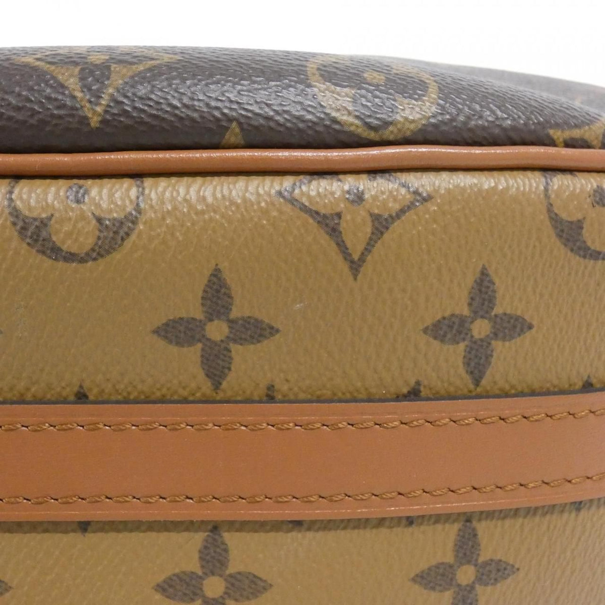 Louis Vuitton Loop Hobo Monogram Reverse Shoulder Bag