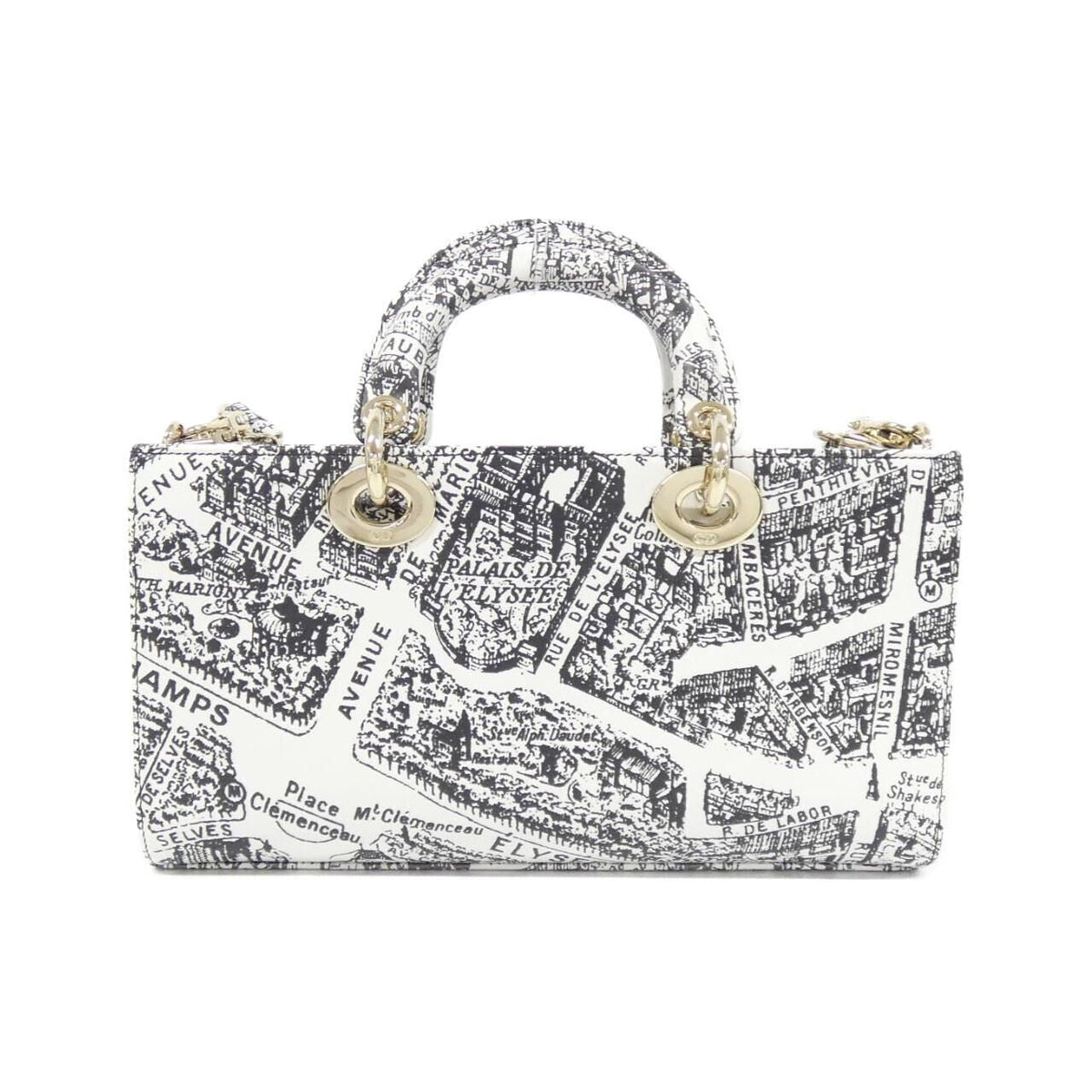 Christian Dior PLAN DE PARIS Lady D-Joy Leather Handbag