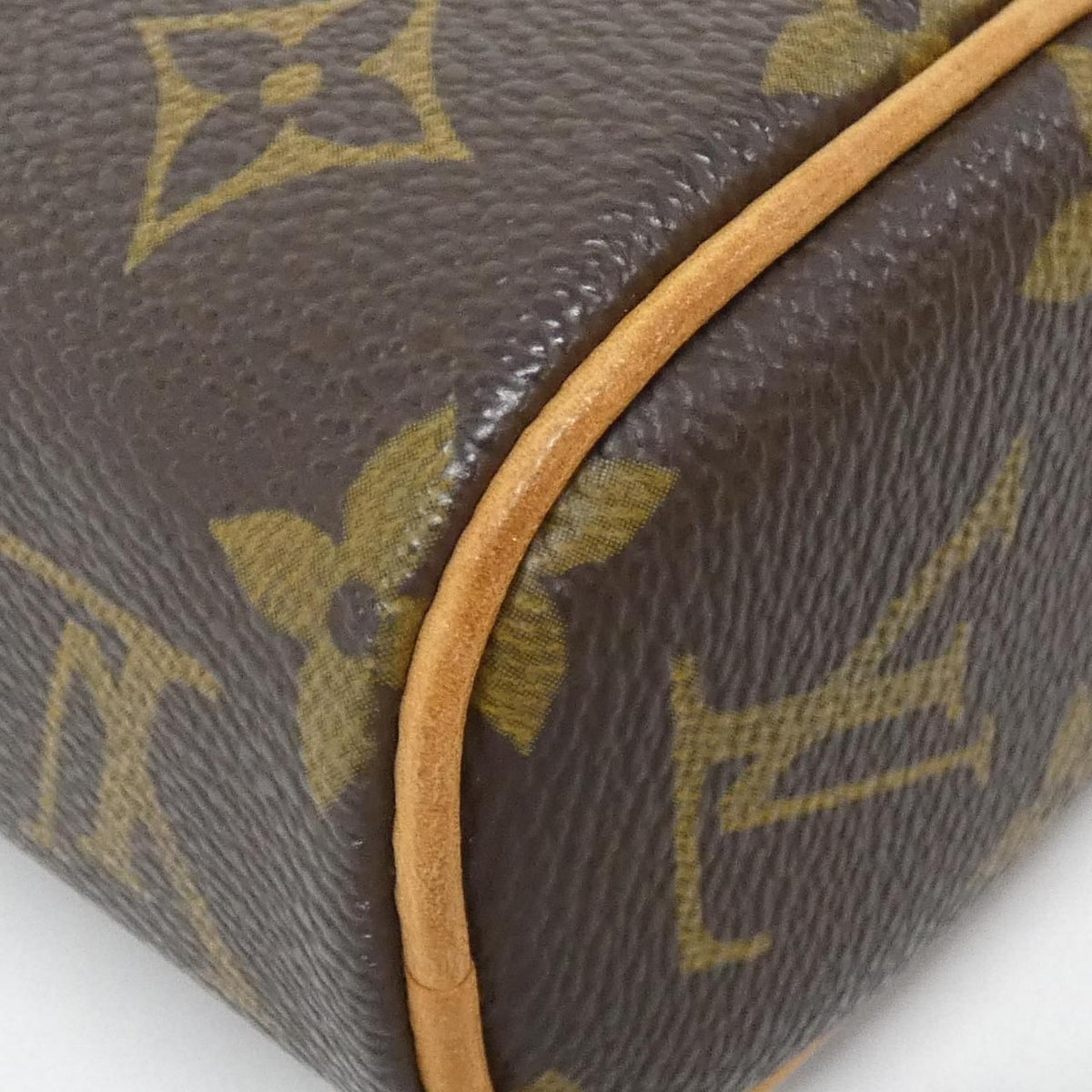 Louis Vuitton Monogram Handbag