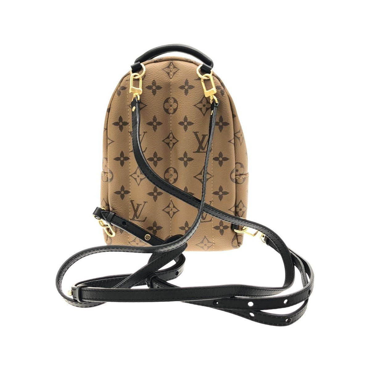 Louis Vuitton Monogram Reverse Palm Springs MINI Backpack