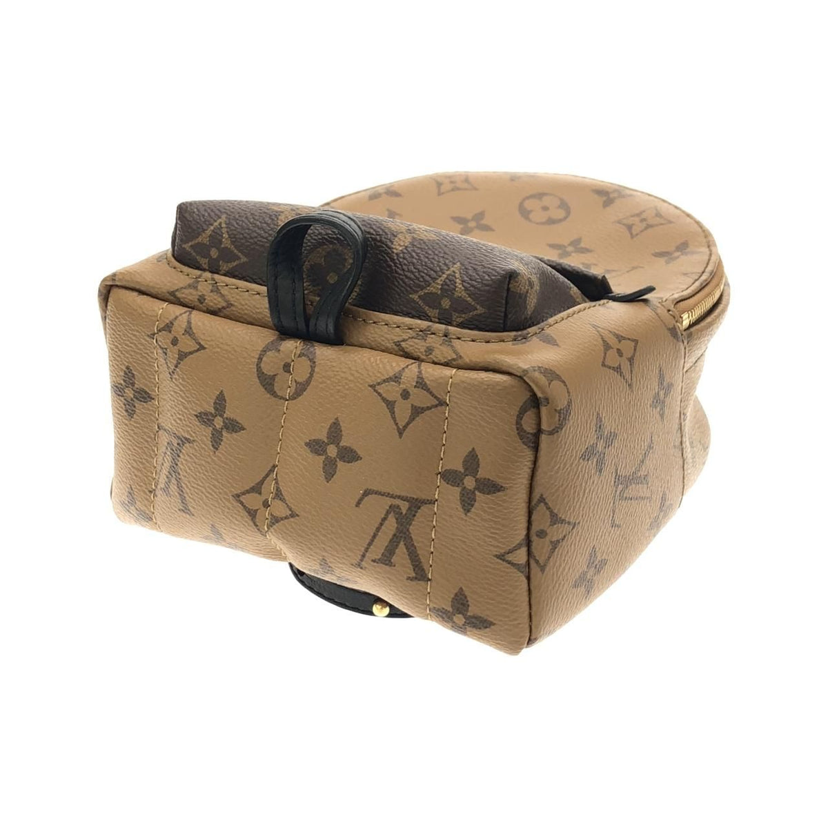Louis Vuitton Monogram Reverse Palm Springs MINI Backpack
