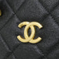 Chanel Caviar Skin Bag