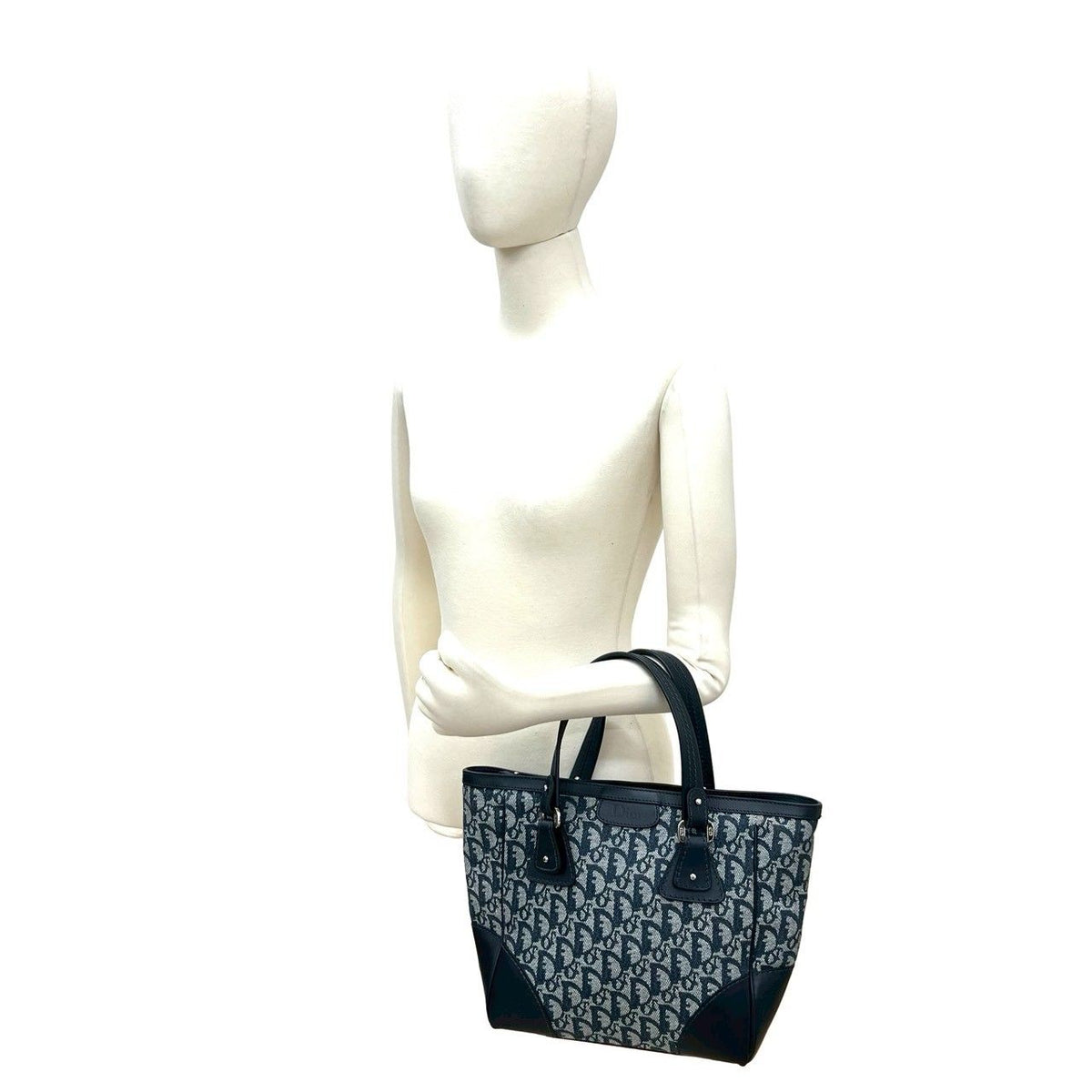 Christian Dior Trotter Canvas Leather Handbag
