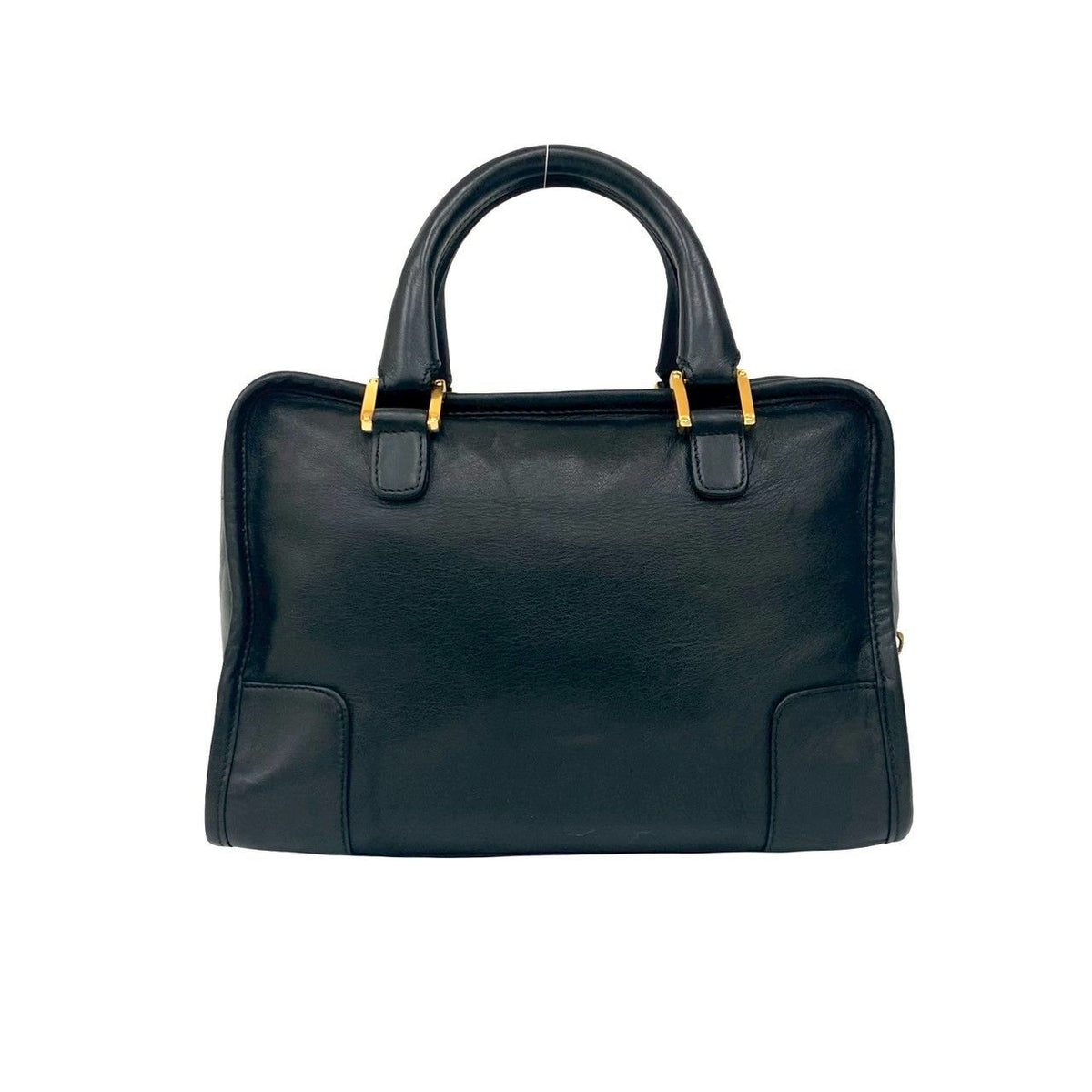 Loewe Amazona Leather Handbag