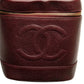 Chanel Coco Mark Caviar Skin Vanity Bag