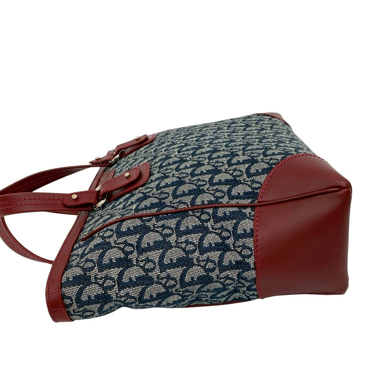 Christian Dior Trotter Canvas Leather Handbag
