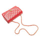 Chanel Diana Flap Caviar Skin Shoulder Bag