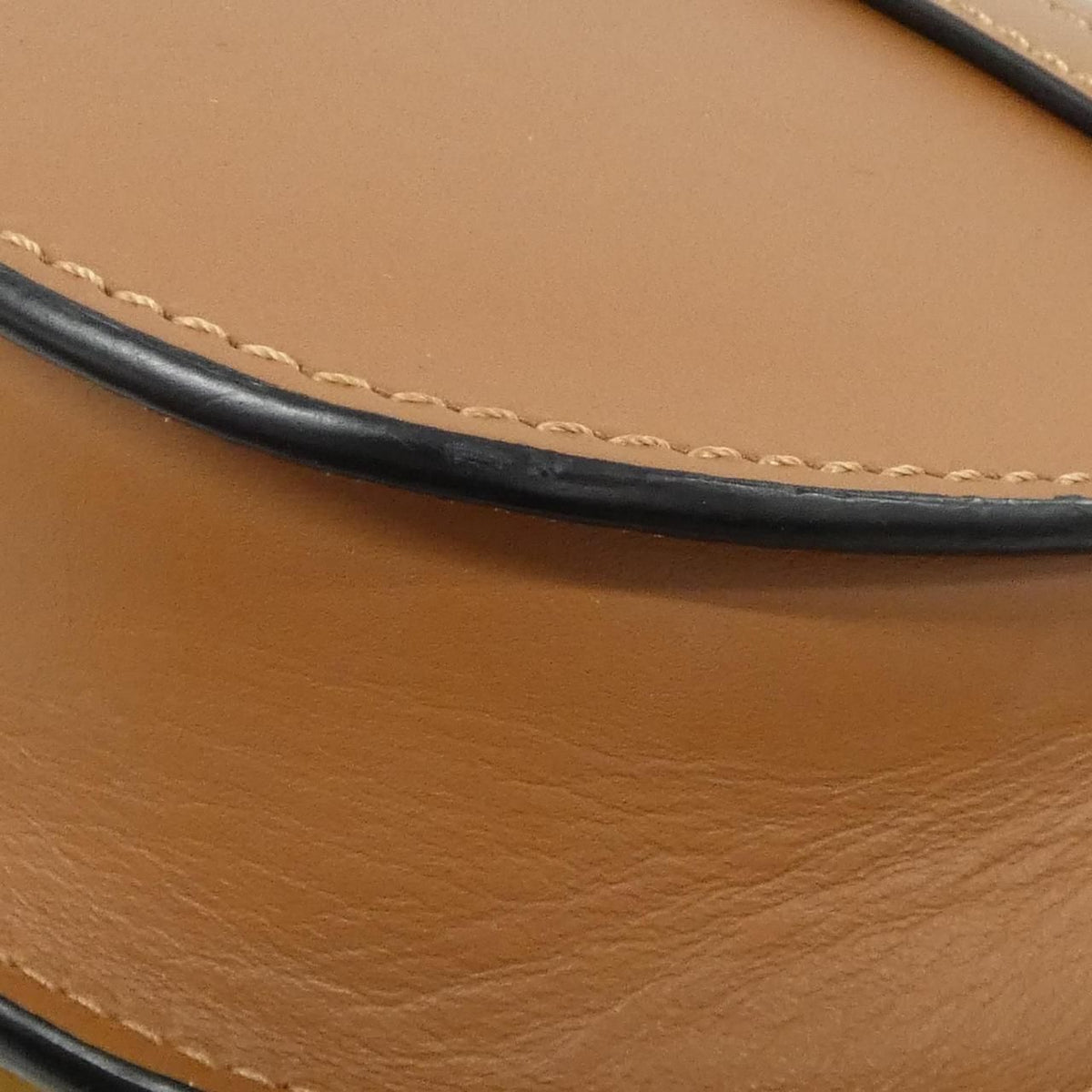 Loewe Gate Dual Calf Shoulder Bag