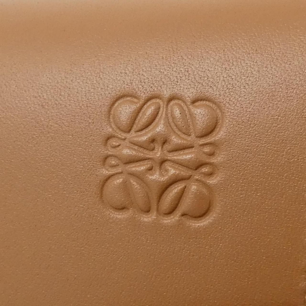 Loewe Gate Dual Calf Shoulder Bag