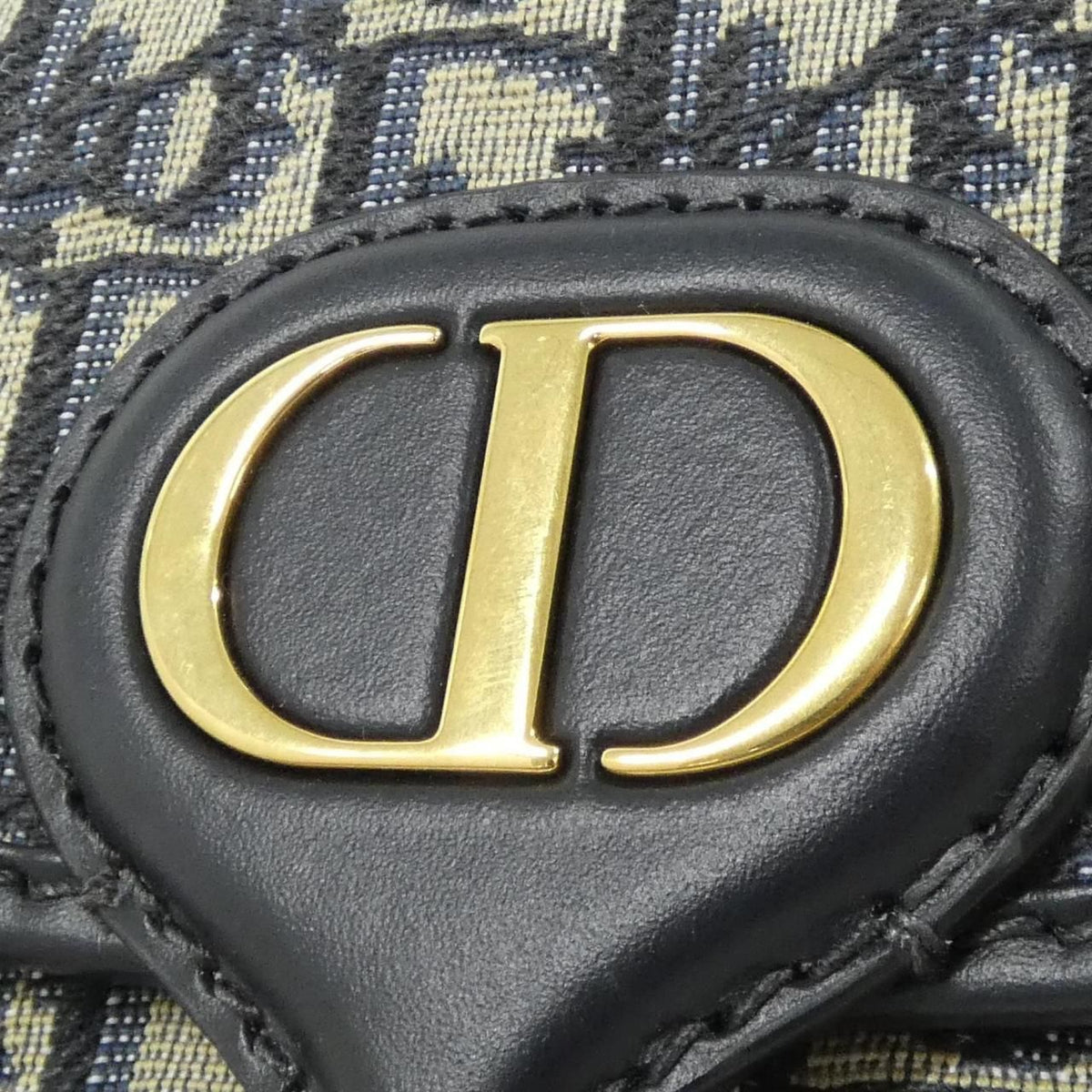 Christian Dior Dior Oblique Canvas Calf Shoulder Bag