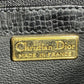 Dior Backpack