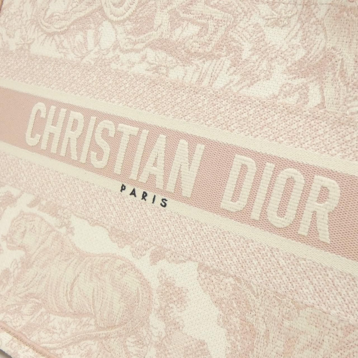 Christian Dior Dior Book Tote Canvas Tote Bag