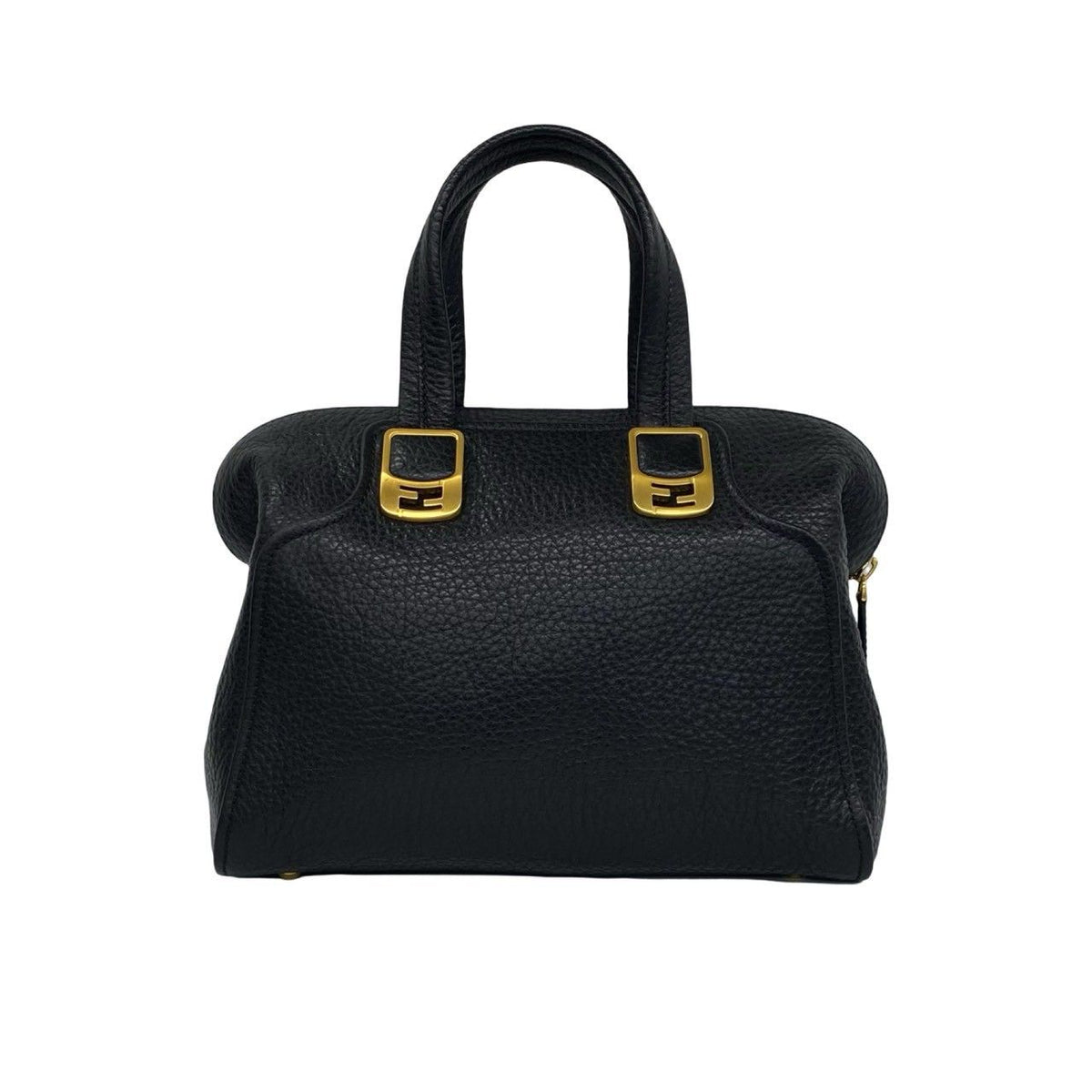 Fendi Chameleon Leather 2way Bag