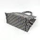 Christian Dior Dior Book Tote Canvas Tote Bag