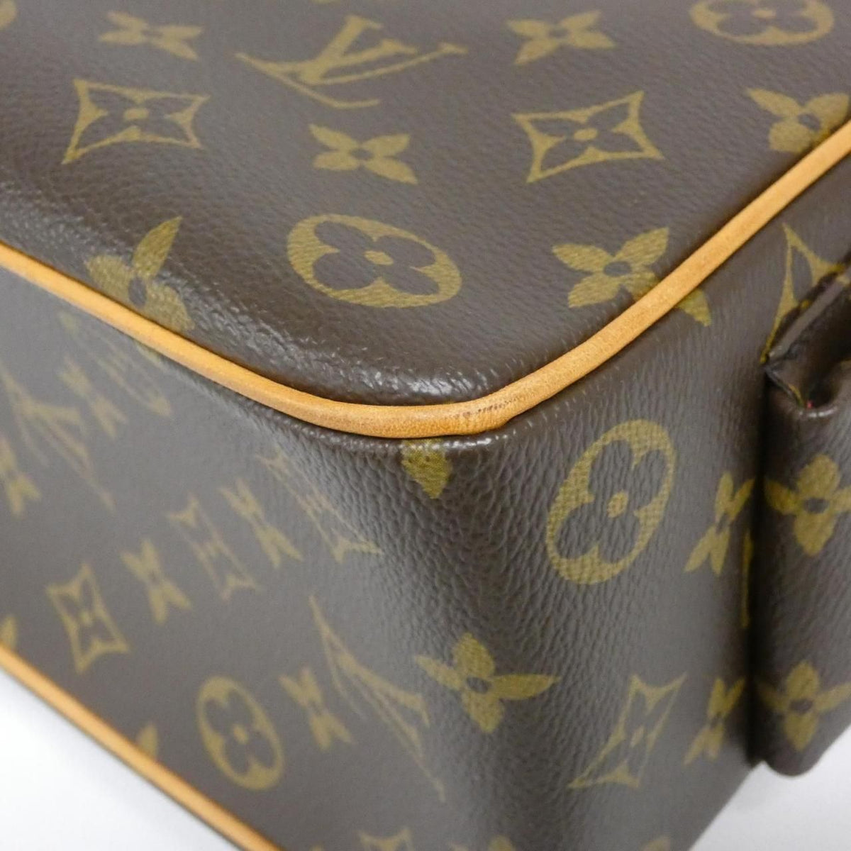Louis Vuitton Monogram Bag