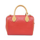 Louis Vuitton Epi Bag