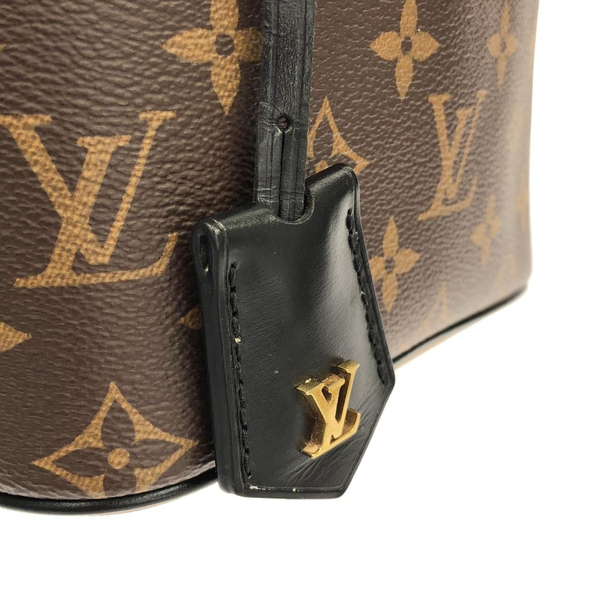 Louis Vuitton Vanity Monogram Bag