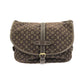 Louis Vuitton Monogram Mini Lin Shoulder Bag