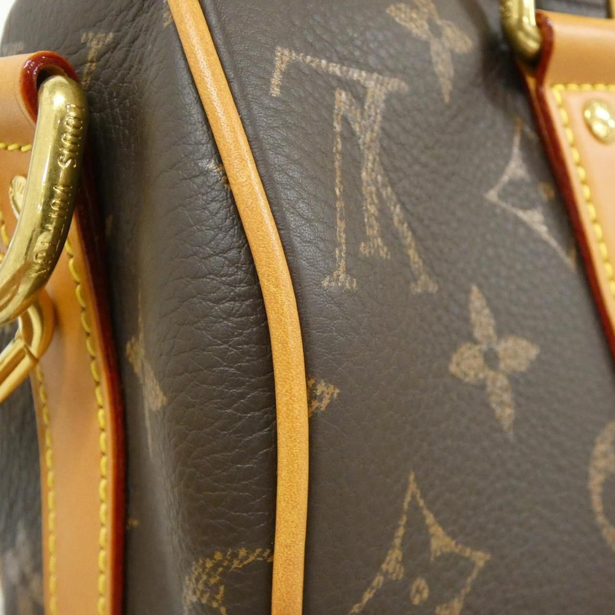 Louis Vuitton Monogram Leather Boston Bag