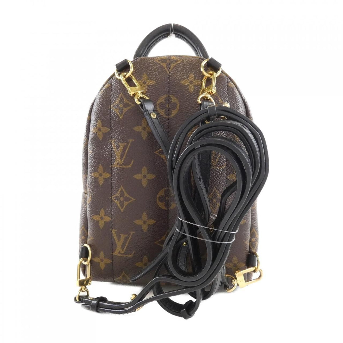 Louis Vuitton Palm Springs Mini Monogram Backpack