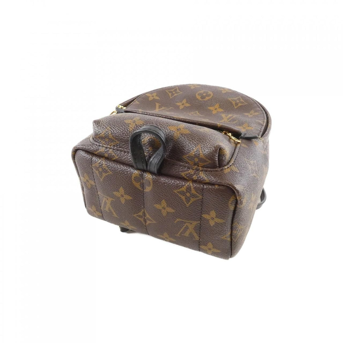 Louis Vuitton Palm Springs Mini Monogram Backpack