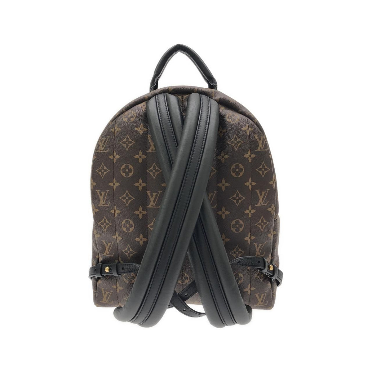 Louis Vuitton Palm Springs Monogram Backpack