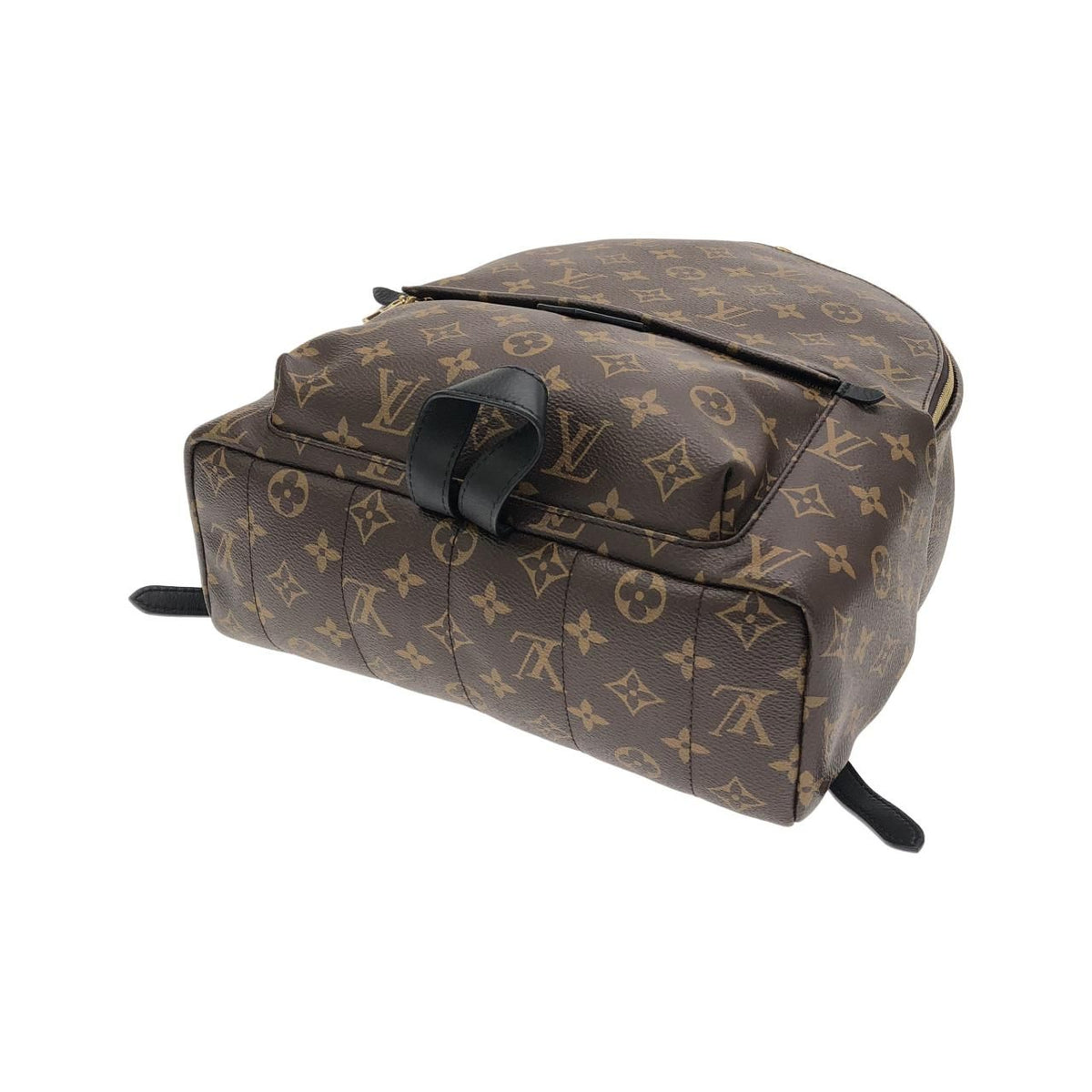 Louis Vuitton Palm Springs Monogram Backpack