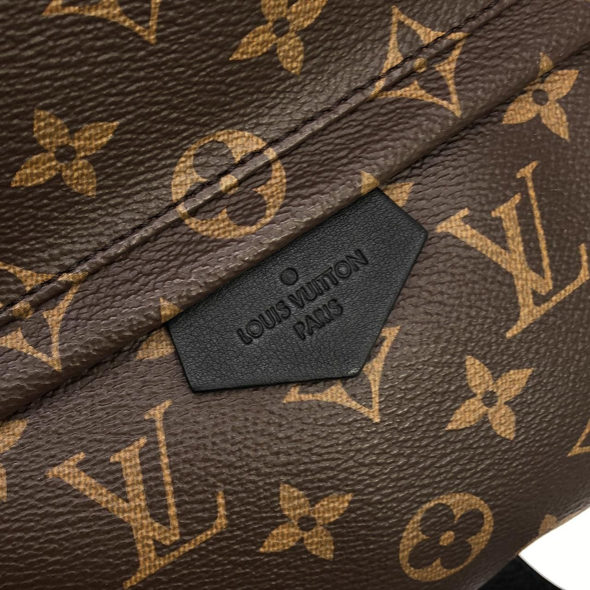 Louis Vuitton Palm Springs Monogram Backpack