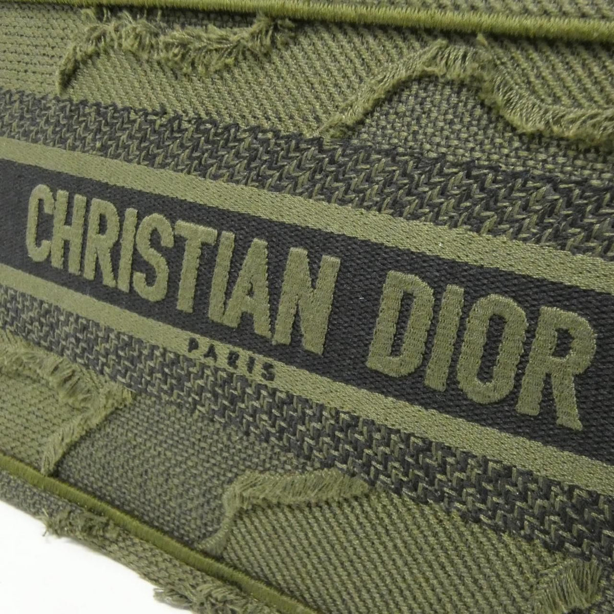Christian Dior Dior Book Tote Canvas Tote Bag