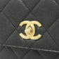 Chanel Caviar Skin Backpack